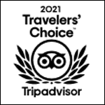 2021 Travelers' Choice award logo from Tripadvisor.